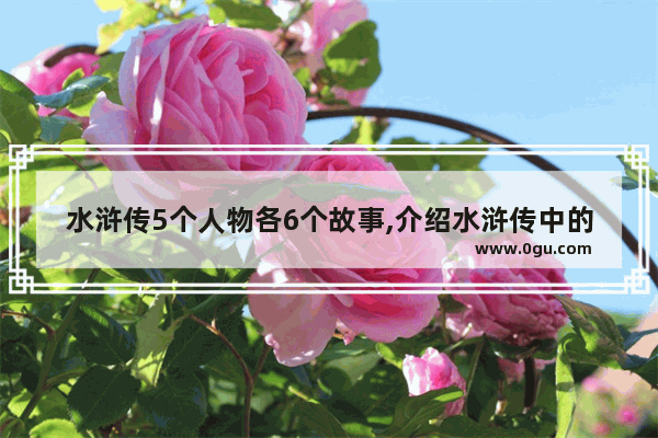 水浒传5个人物各6个故事,介绍水浒传中的历史人物
