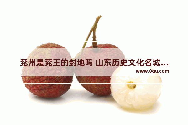 兖州是兖王的封地吗 山东历史文化名城兖州