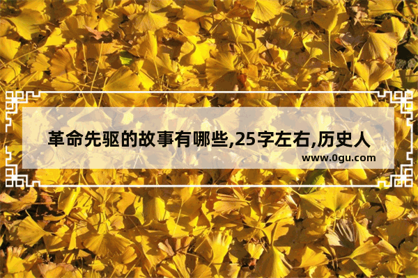 革命先驱的故事有哪些,25字左右,历史人物故事简短版励志