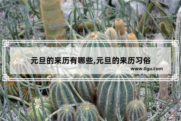 元旦的来历有哪些,元旦的来历习俗