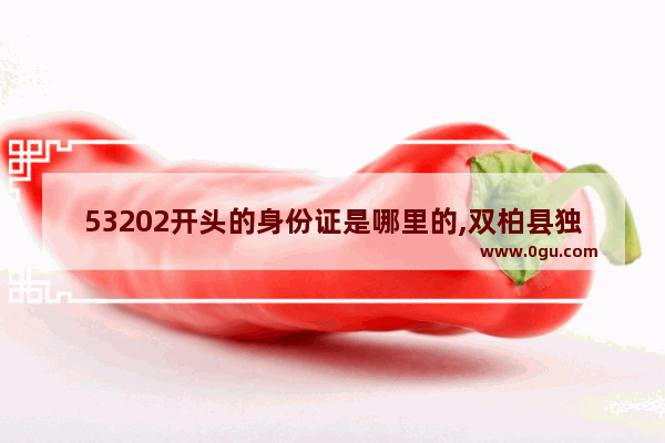 53202开头的身份证是哪里的,双柏县独田历史故事
