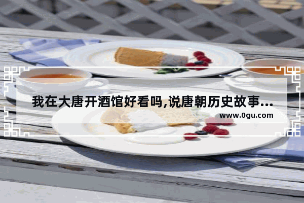 我在大唐开酒馆好看吗,说唐朝历史故事的直播小胖