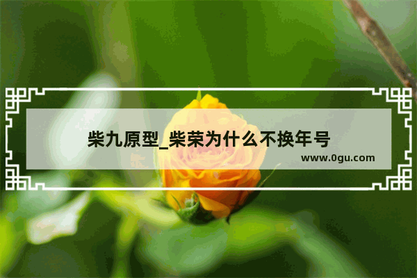 柴九原型_柴荣为什么不换年号