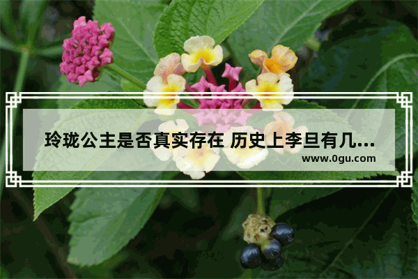 玲珑公主是否真实存在 历史上李旦有几位公主其中有义_桐乡市安兴乡历史人物