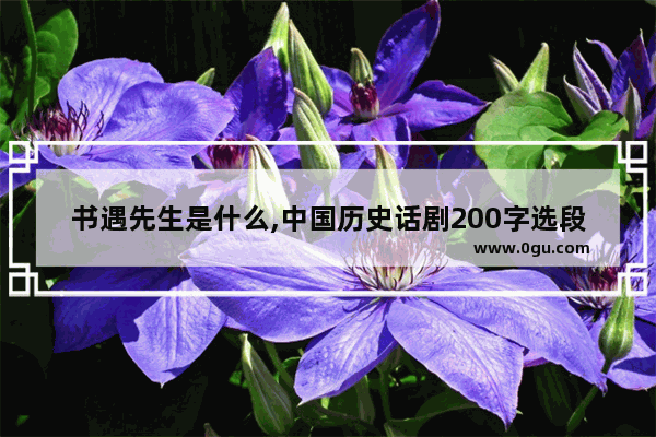 书遇先生是什么,中国历史话剧200字选段