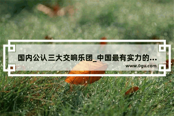 国内公认三大交响乐团_中国最有实力的乐队是哪个
