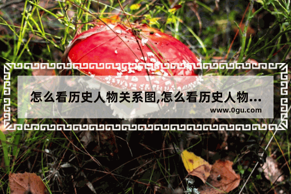 怎么看历史人物关系图,怎么看历史人物关系图