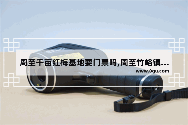 周至千亩红梅基地要门票吗,周至竹峪镇的历史文化