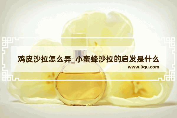 鸡皮沙拉怎么弄_小蜜蜂沙拉的启发是什么
