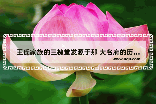 王氏家族的三槐堂发源于那 大名府的历史文化研究