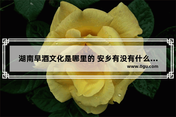 湖南早酒文化是哪里的 安乡有没有什么历史文化