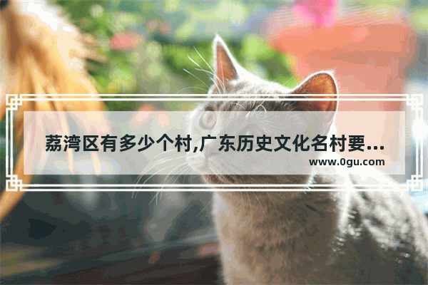 荔湾区有多少个村,广东历史文化名村要求什么