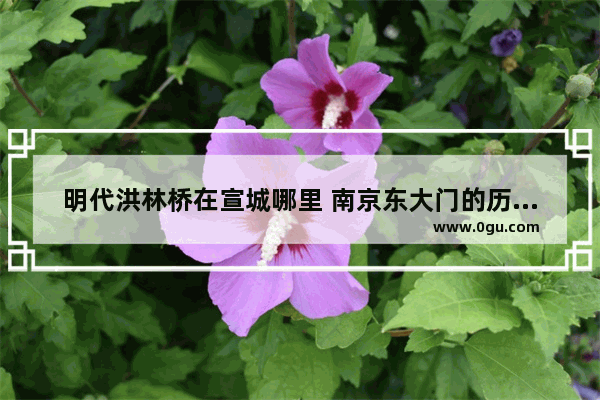 明代洪林桥在宣城哪里 南京东大门的历史故事