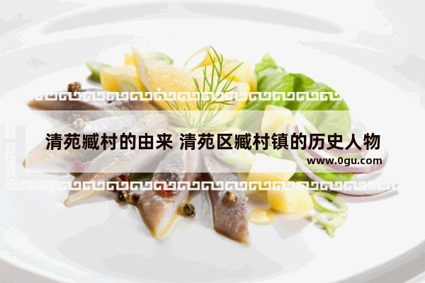 清苑臧村的由来 清苑区臧村镇的历史人物