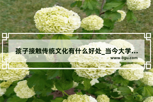 孩子接触传统文化有什么好处_当今大学生如何对外传播中华传统文化