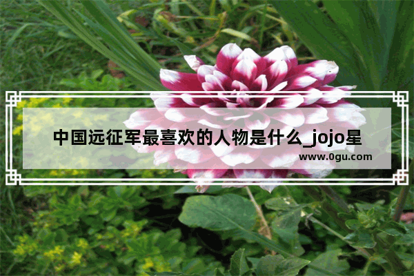 中国远征军最喜欢的人物是什么_jojo星尘远征军结局
