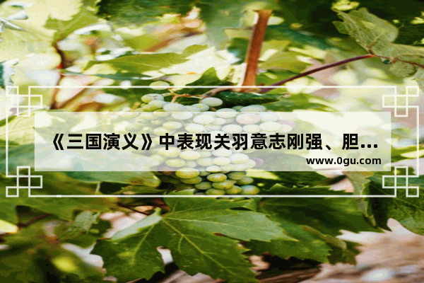 《三国演义》中表现关羽意志刚强、胆量过人、不惧疼痛的故事是什么?请简述一下情节 历史上名人故事意志刚强