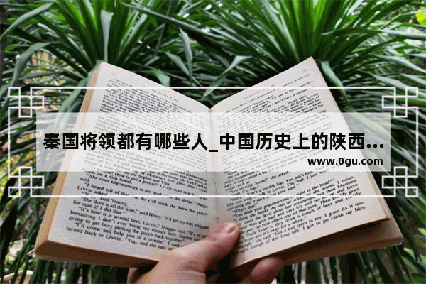 秦国将领都有哪些人_中国历史上的陕西将军名单