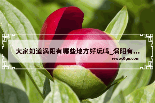 大家知道涡阳有哪些地方好玩吗_涡阳有什么好玩的