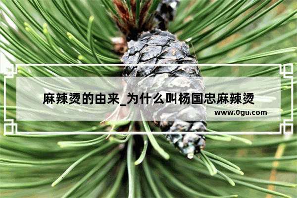 麻辣烫的由来_为什么叫杨国忠麻辣烫