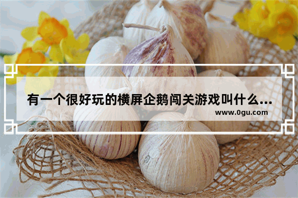 有一个很好玩的横屏企鹅闯关游戏叫什么_psp2000比较经典的游戏