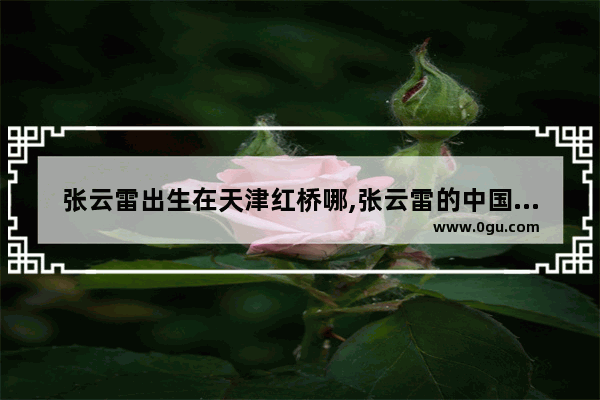 张云雷出生在天津红桥哪,张云雷的中国历史有多久