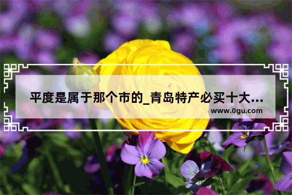 平度是属于那个市的_青岛特产必买十大零食