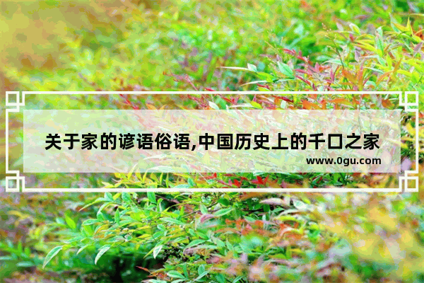 关于家的谚语俗语,中国历史上的千口之家