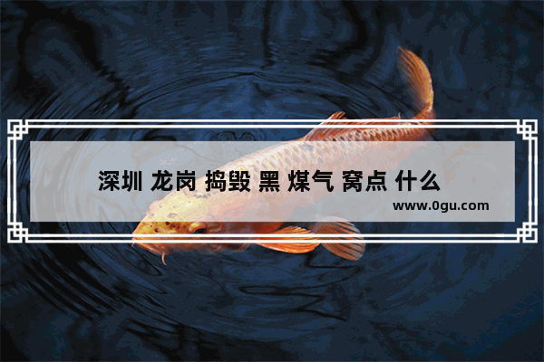 深圳 龙岗 捣毁 黑 煤气 窝点 什么 是 黑 煤气 有 哪些 危害 深圳人有什么黑历史人物