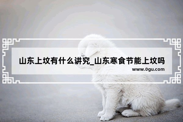 山东上坟有什么讲究_山东寒食节能上坟吗