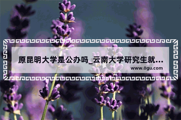 原昆明大学是公办吗_云南大学研究生就业情况
