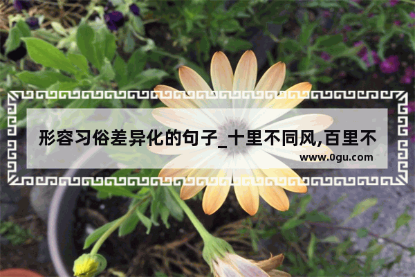形容习俗差异化的句子_十里不同风,百里不同俗还有哪些