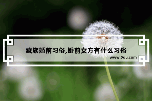 藏族婚前习俗,婚前女方有什么习俗