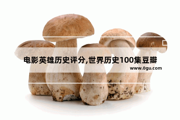 电影英雄历史评分,世界历史100集豆瓣