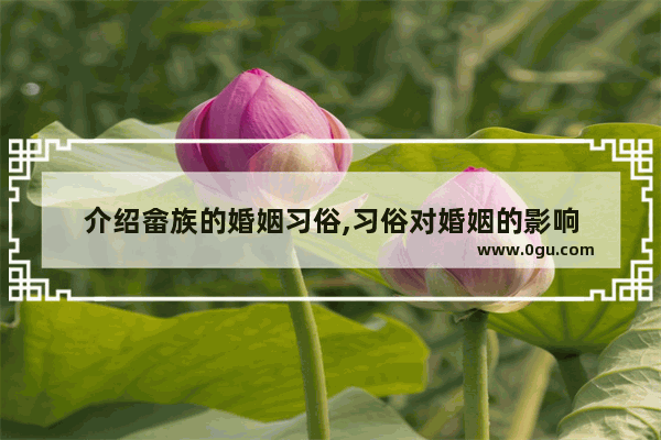 介绍畲族的婚姻习俗,习俗对婚姻的影响