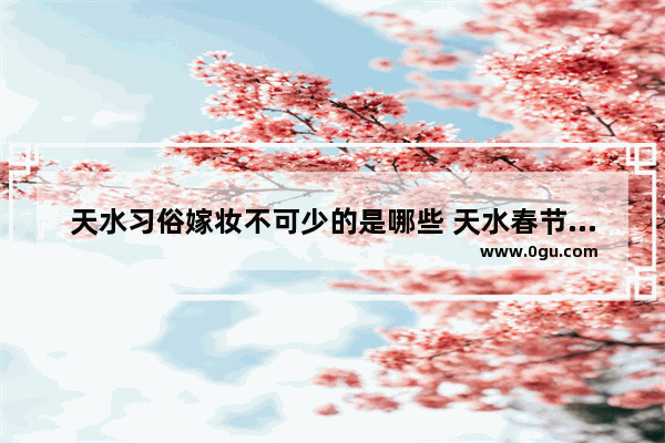 天水习俗嫁妆不可少的是哪些 天水春节习俗100字