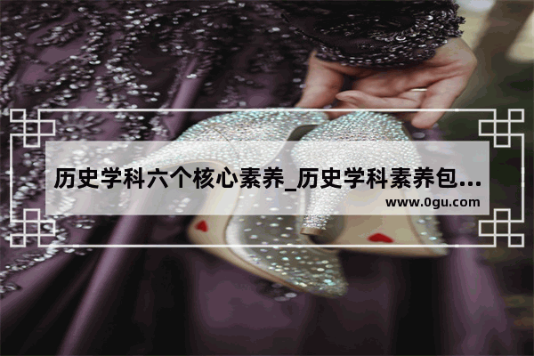 历史学科六个核心素养_历史学科素养包括哪些
