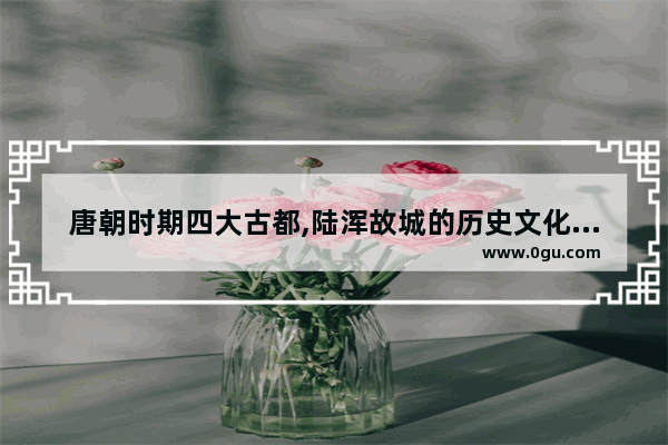 唐朝时期四大古都,陆浑故城的历史文化介绍