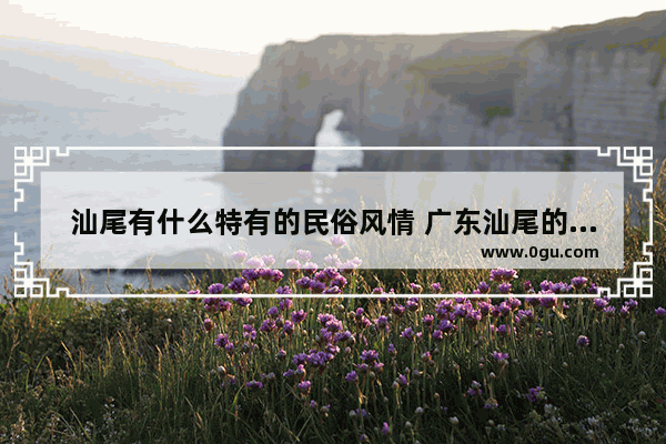 汕尾有什么特有的民俗风情 广东汕尾的历史文化底蕴