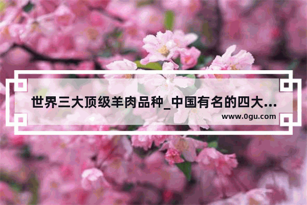 世界三大顶级羊肉品种_中国有名的四大羊肉汤