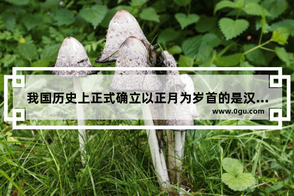 我国历史上正式确立以正月为岁首的是汉代什么时期_正月为岁首是汉代什么时期