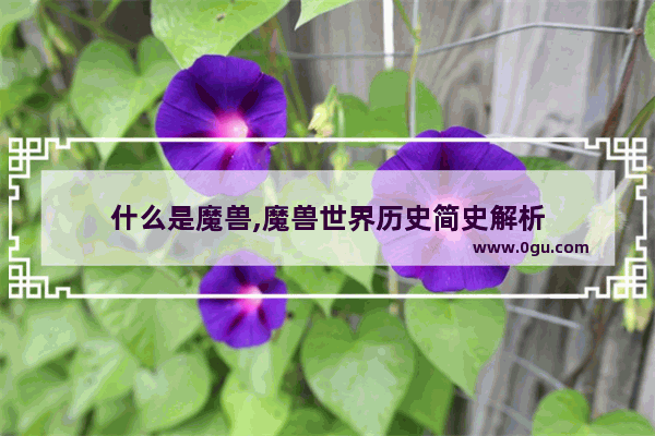什么是魔兽,魔兽世界历史简史解析
