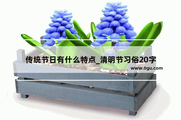 传统节日有什么特点_清明节习俗20字