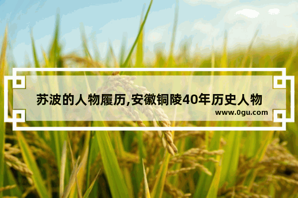 苏波的人物履历,安徽铜陵40年历史人物
