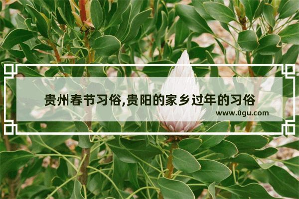 贵州春节习俗,贵阳的家乡过年的习俗
