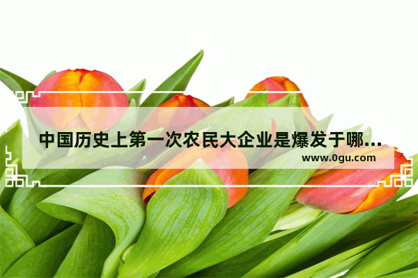 中国历史上第一次农民大企业是爆发于哪一年的什么事件,中国历史第一家企业