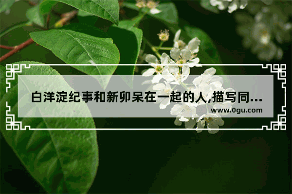 白洋淀纪事和新卯呆在一起的人,描写同龄人物的历史故事