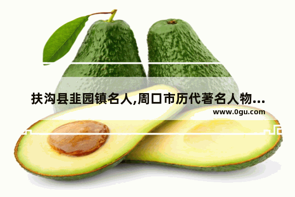 扶沟县韭园镇名人,周口市历代著名人物有哪些