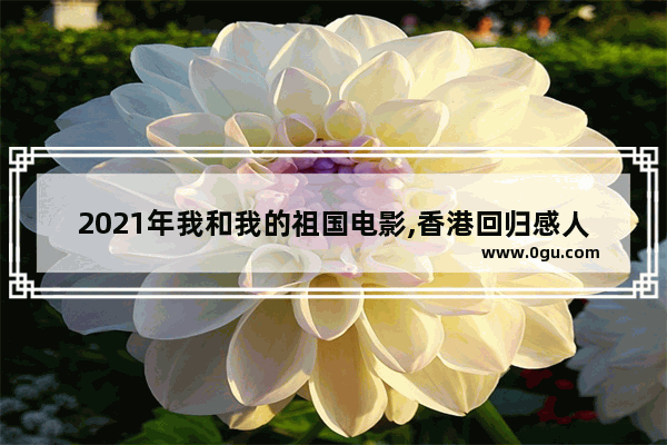 2021年我和我的祖国电影,香港回归感人历史故事电影