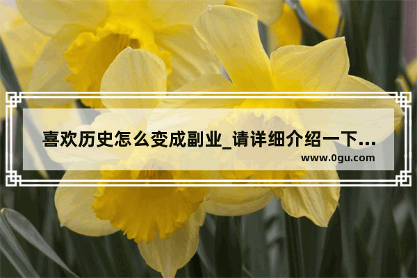 喜欢历史怎么变成副业_请详细介绍一下史树青老先生